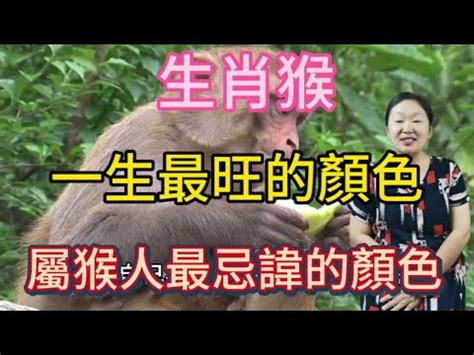 屬猴適合樓層|【屬猴坐向】屬猴必看！最強坐向攻略：住對樓層、方位，財旺運。